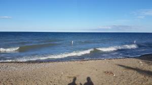 Short walk to Lake Huron and Burtchville Township Park